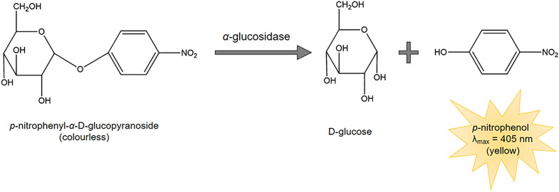 Fig. 1