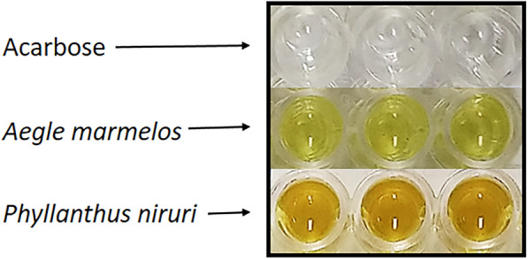 Fig. 10