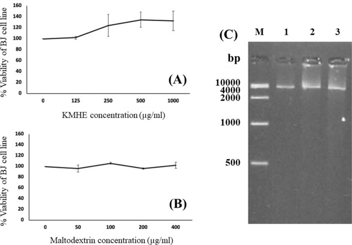 Fig. 7