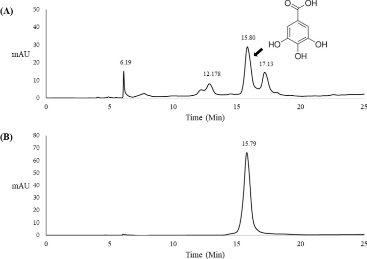 Fig. 2