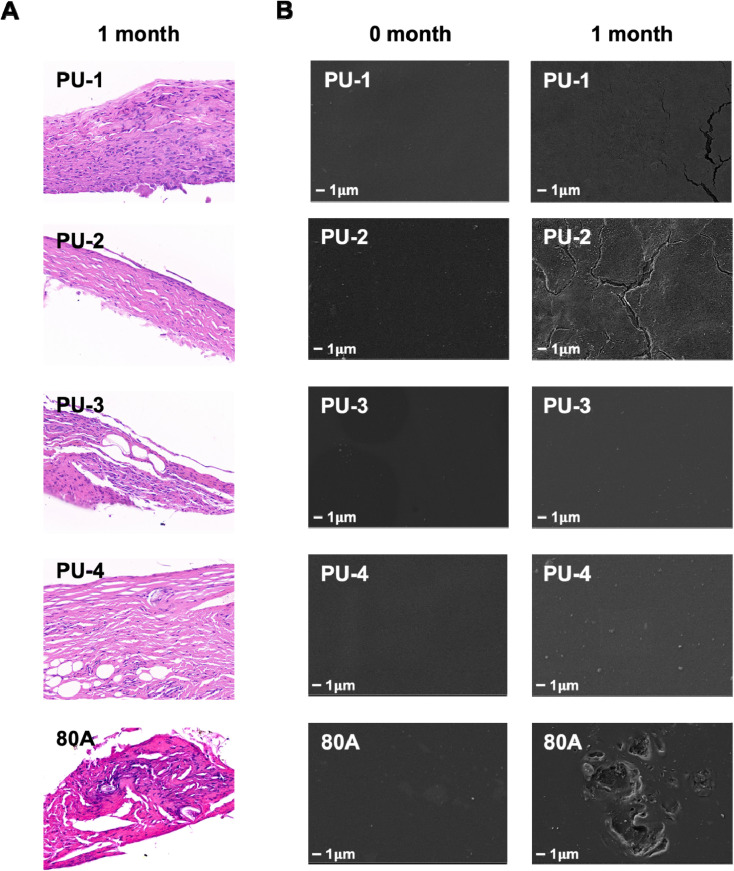 Fig. 11