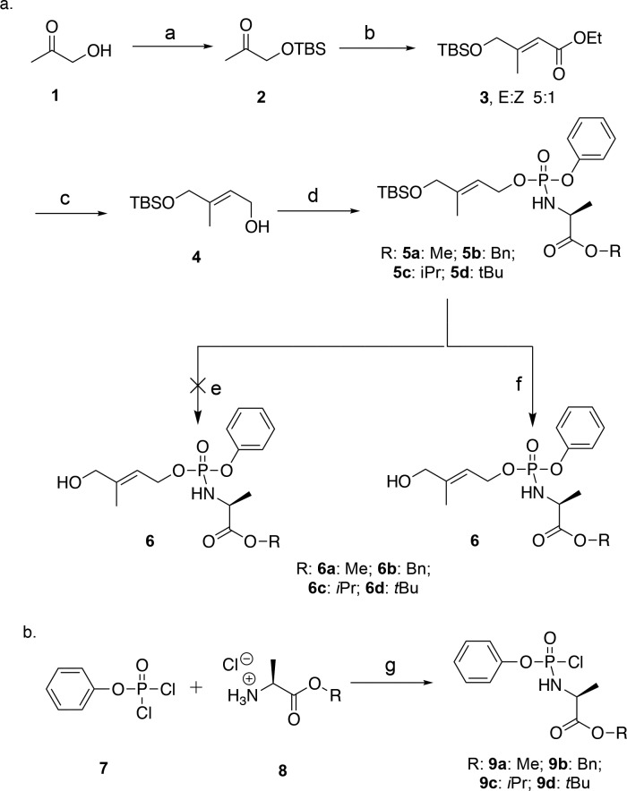 Scheme 1