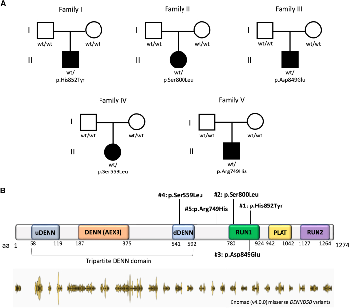 Figure 1