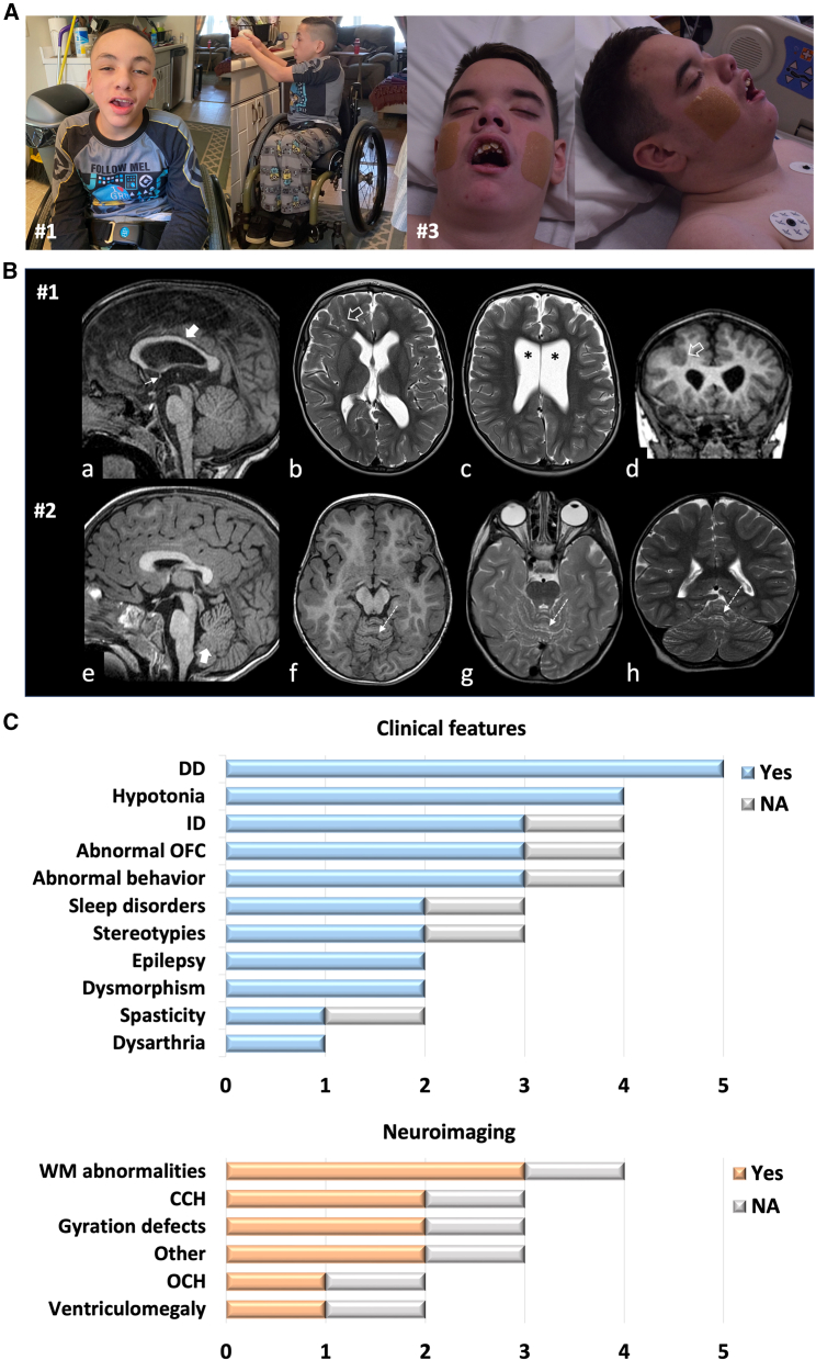 Figure 2