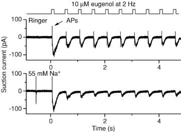 Figure 8