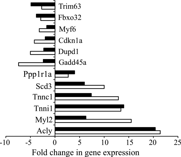 Fig. 10.