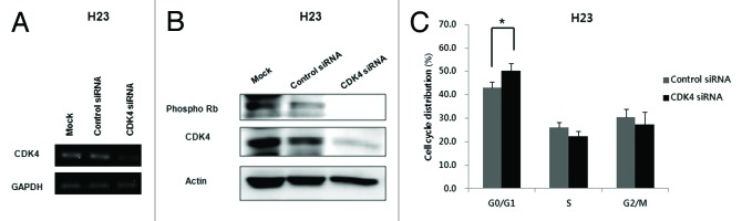 graphic file with name cbt-14-597-g2.jpg