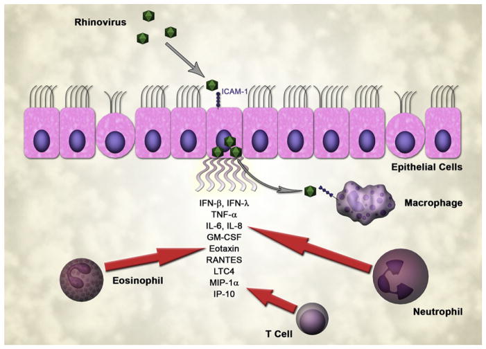 FIG 1