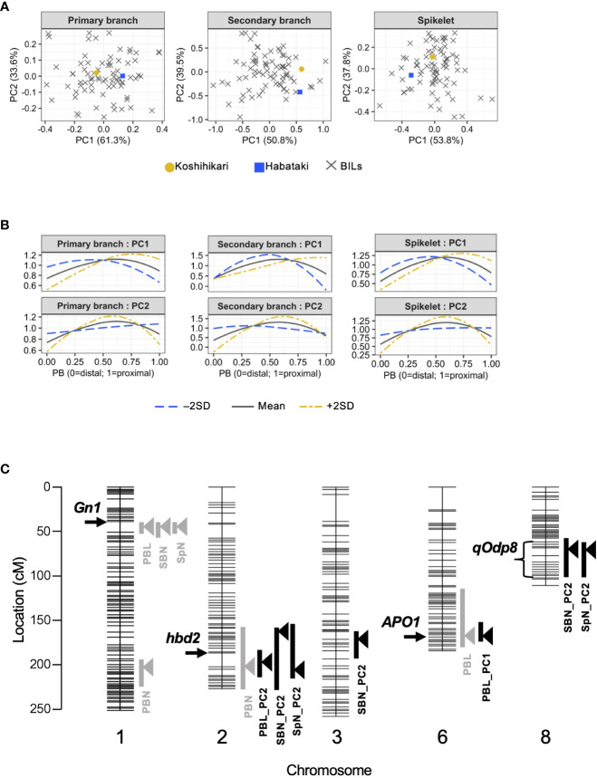 Figure 2