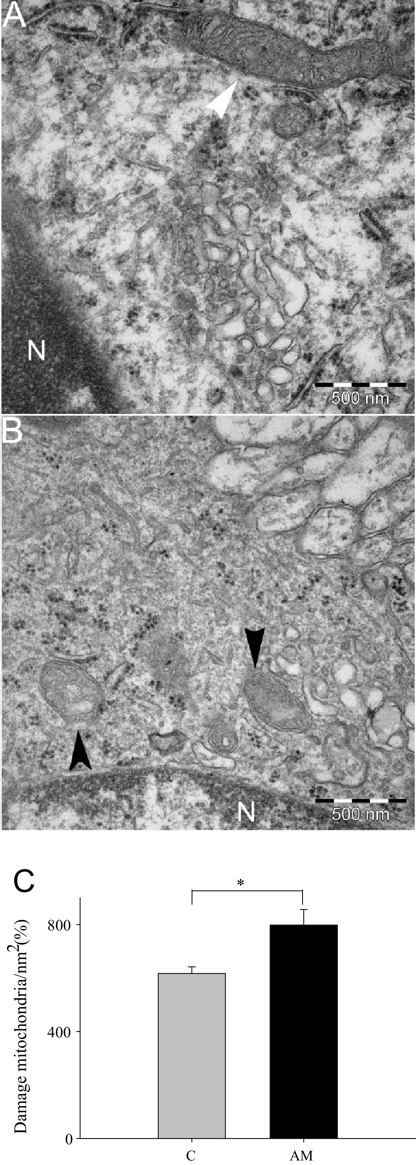 Fig. 6