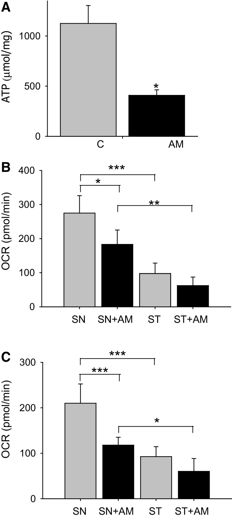 Fig. 7