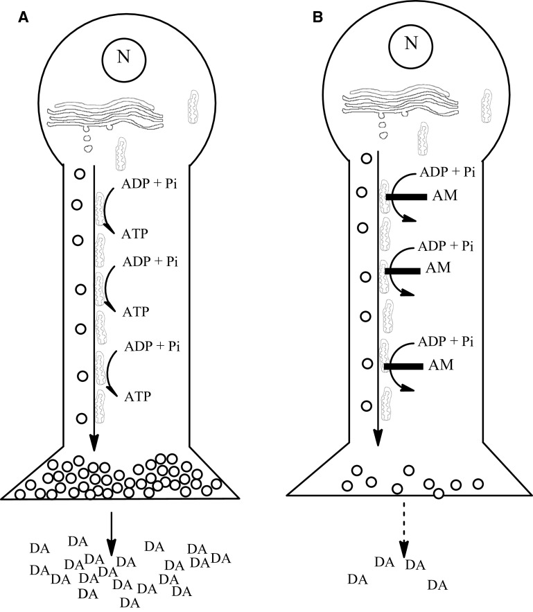 Fig. 8