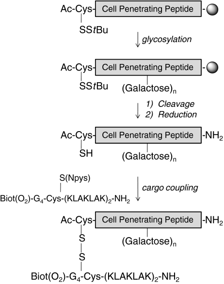 Scheme 1