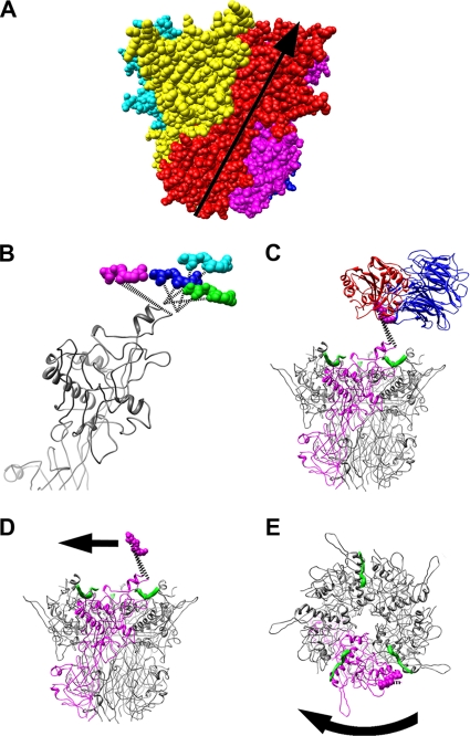 FIG. 6.