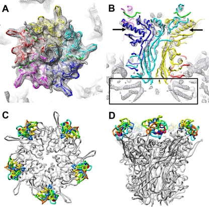 FIG. 3.