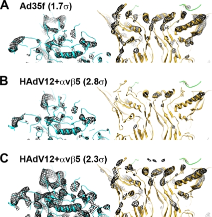 FIG. 7.