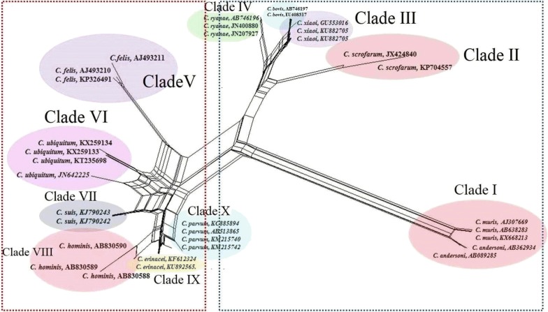 Fig. 9