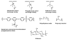 Figure 27