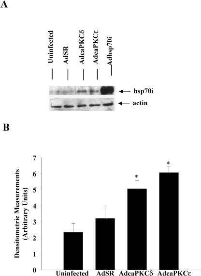 Fig 3.