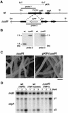 FIG. 8.