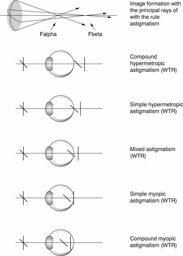 Figure 1  