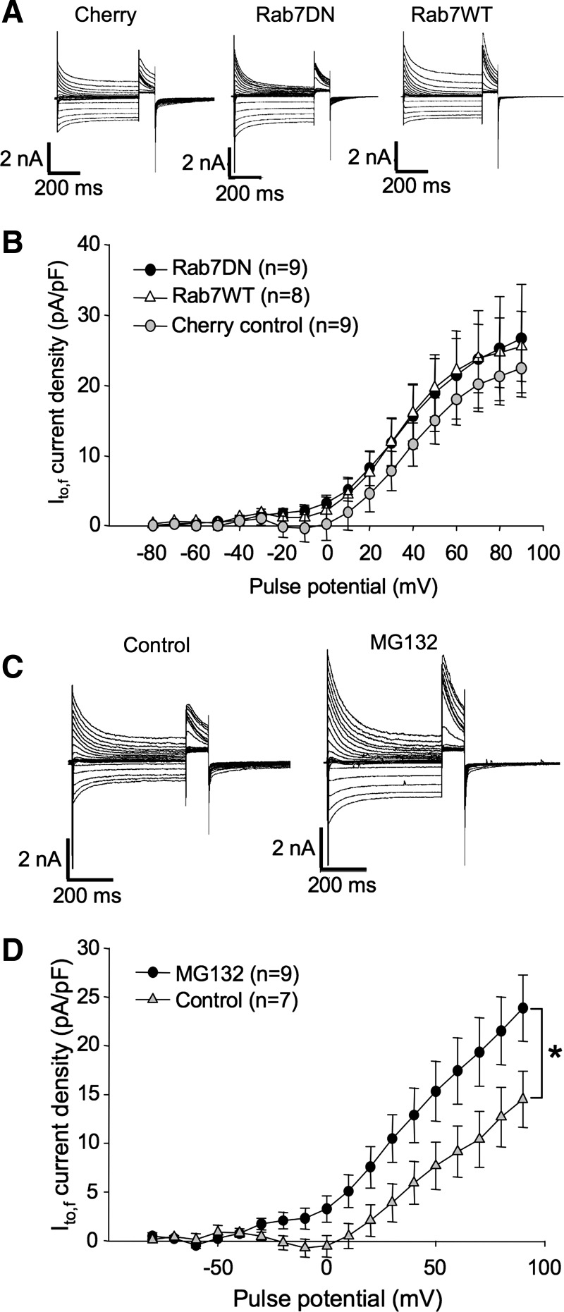 Fig. 10.