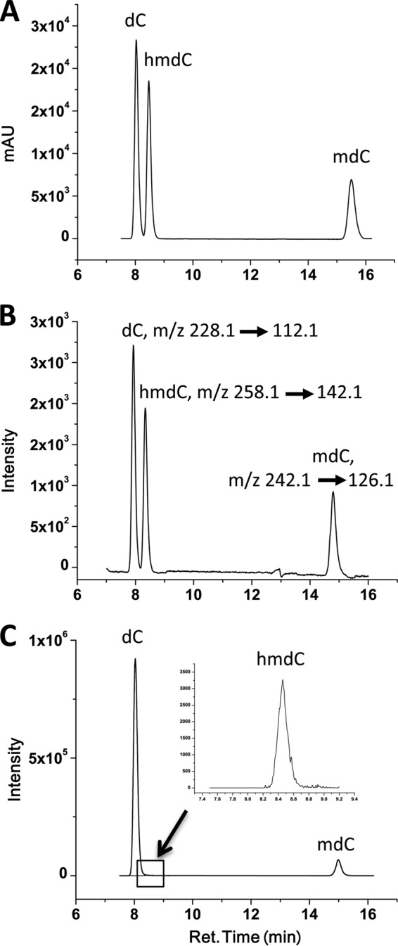 FIGURE 1.