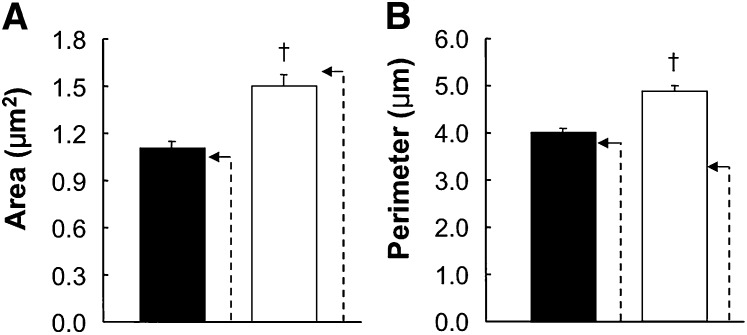 Fig. 7.