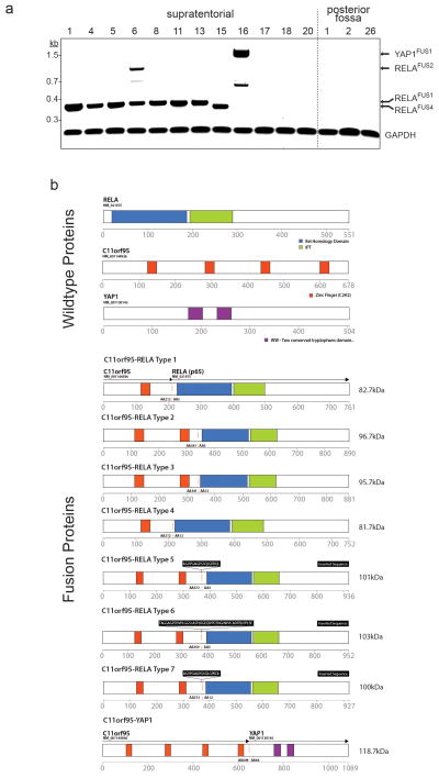 Extended Data Figure 5