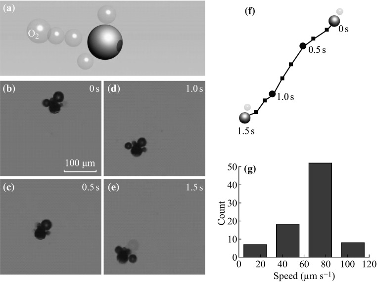 Fig. 4