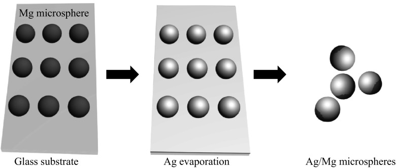 Fig. 1