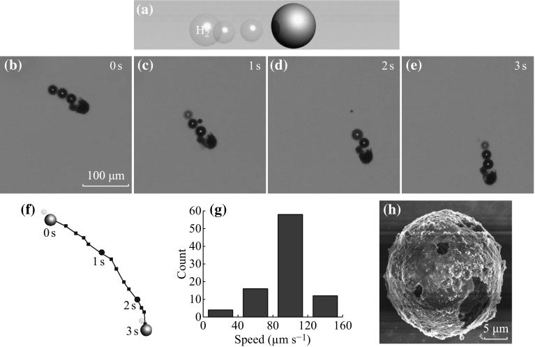 Fig. 3