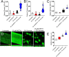 FIG 3