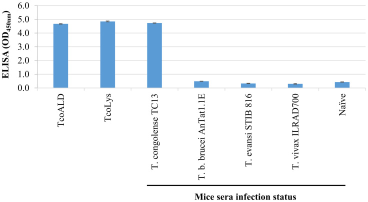 Fig 5