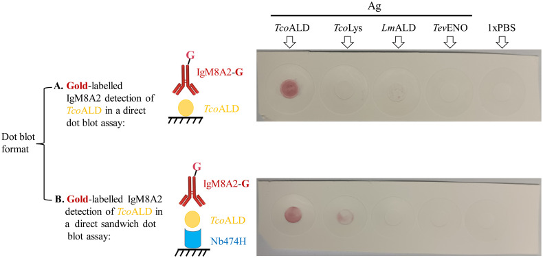 Fig 6