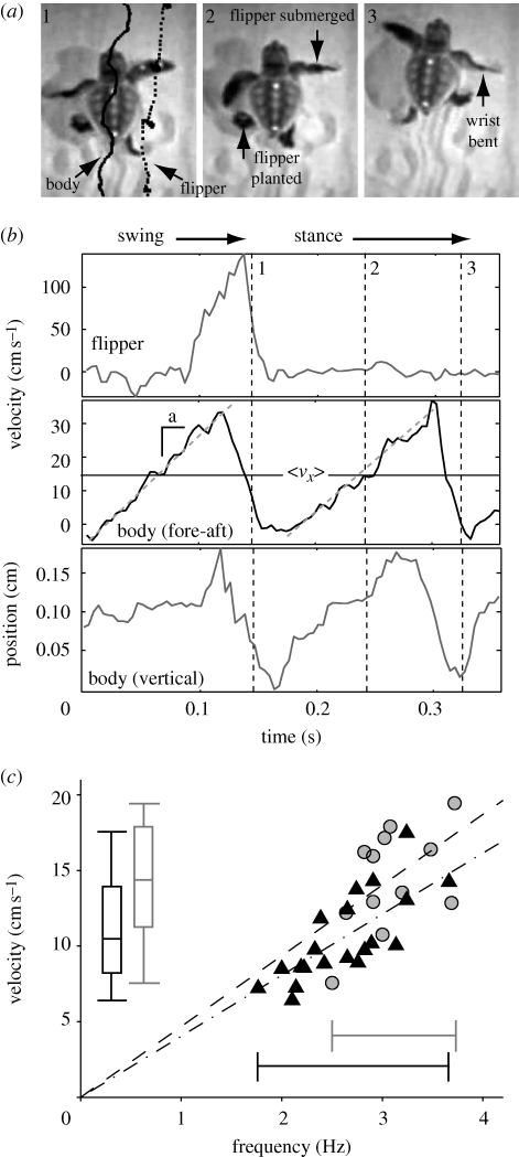 Figure 1.