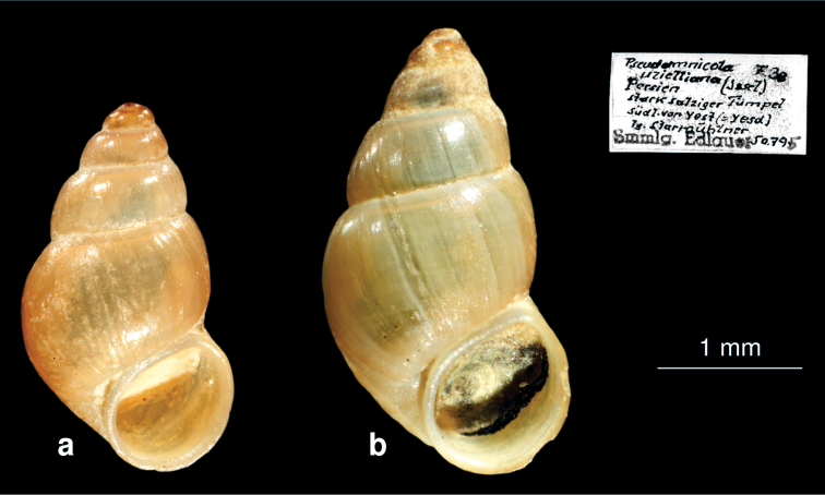 Figure 13.