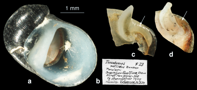 Figure 3.