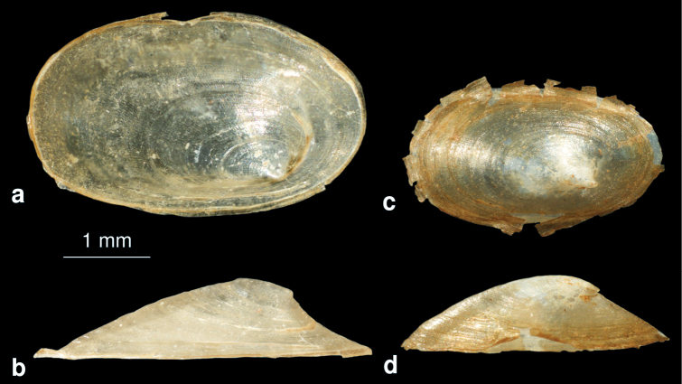 Figure 15.