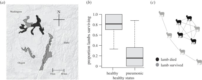 Figure 1.