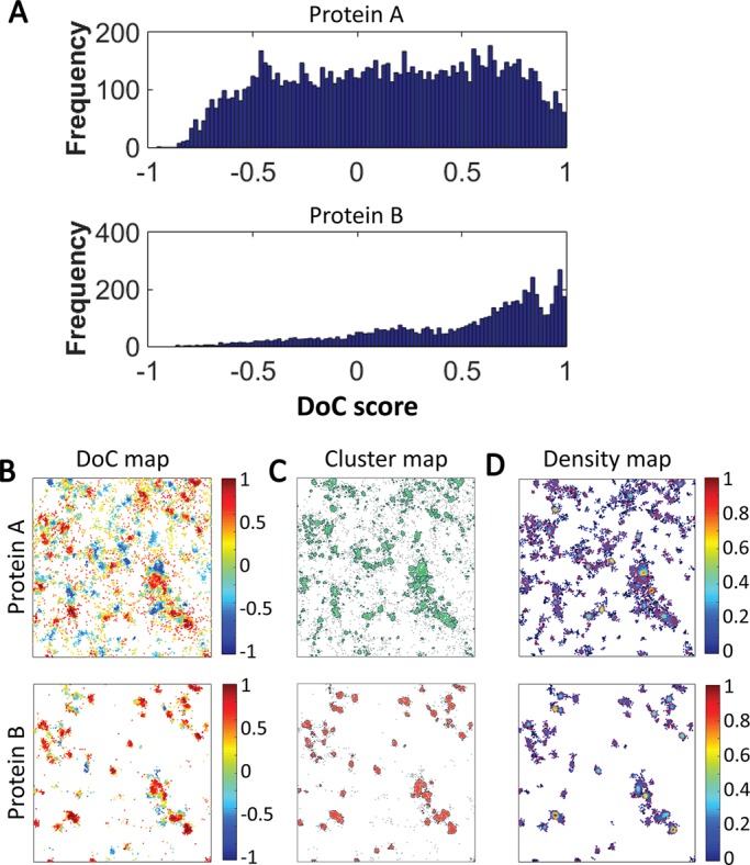 FIGURE 4: