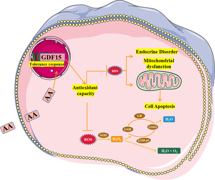 Figure 11