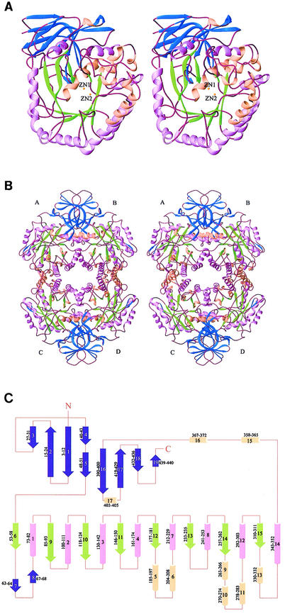 FIG. 4.