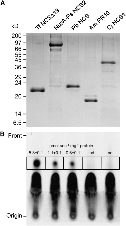 Figure 7.