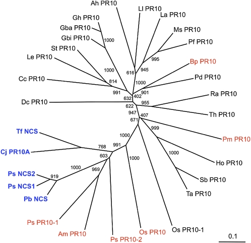 Figure 6.