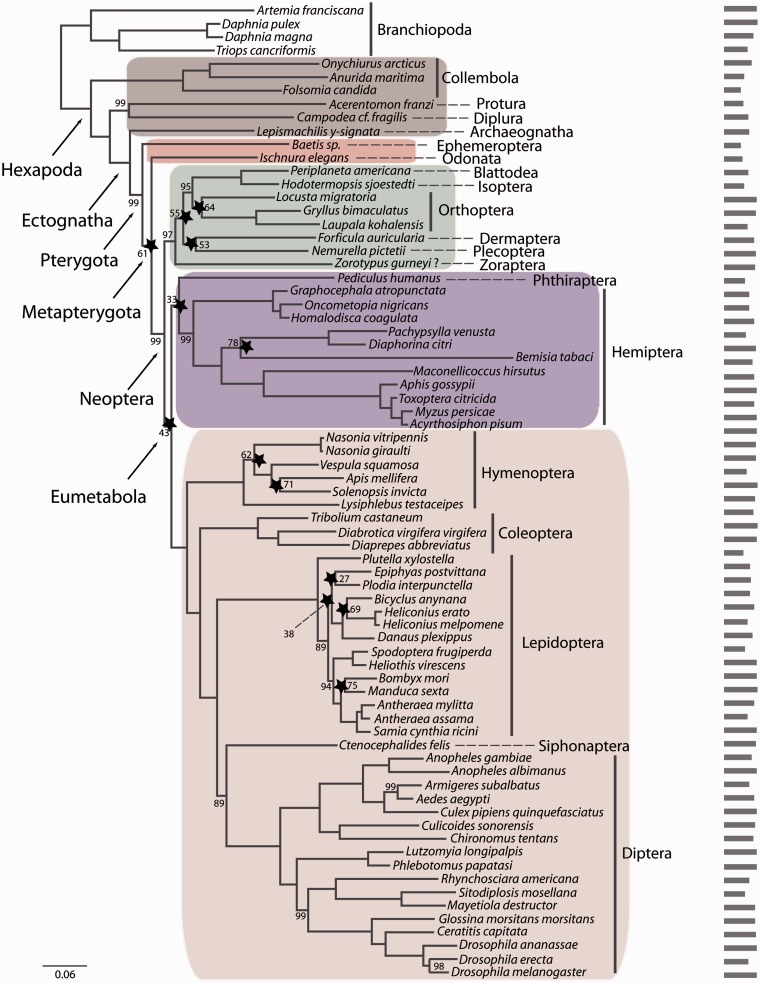 Fig. 3.—