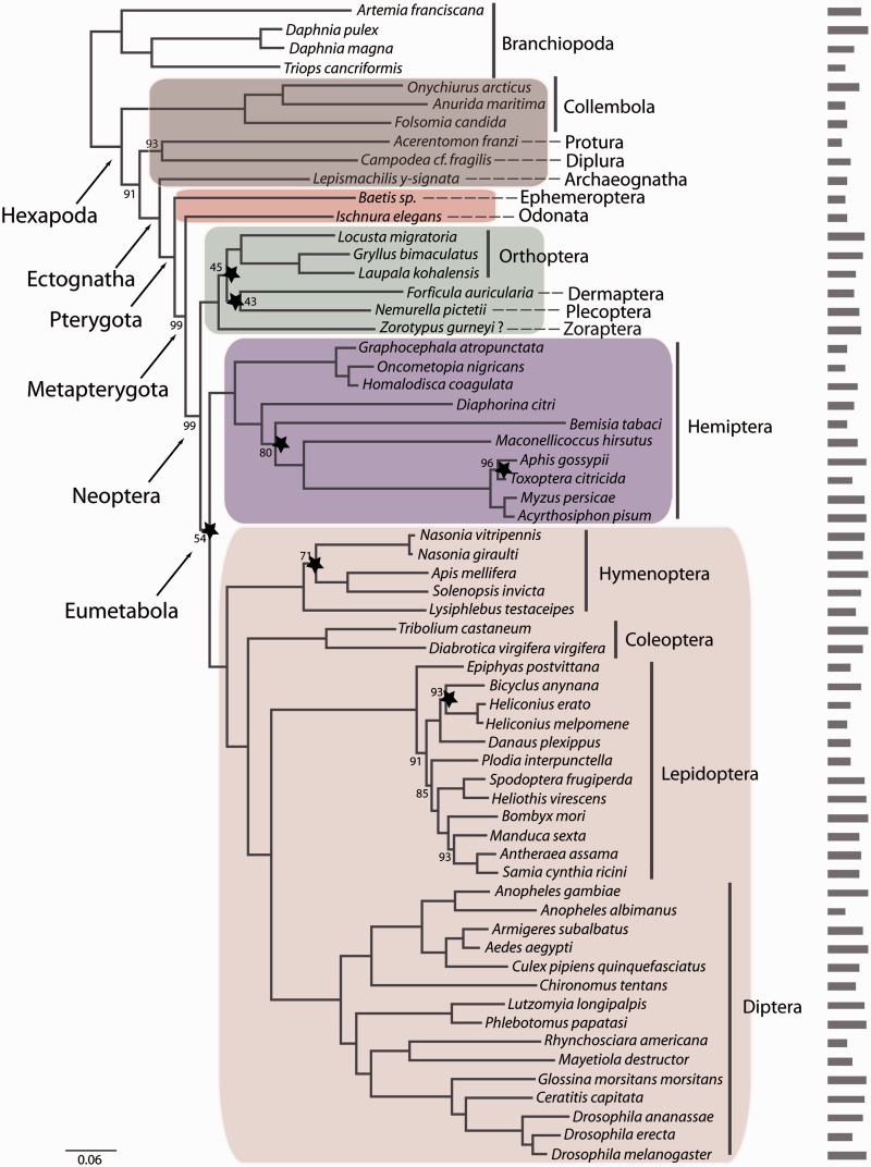 Fig. 2.—