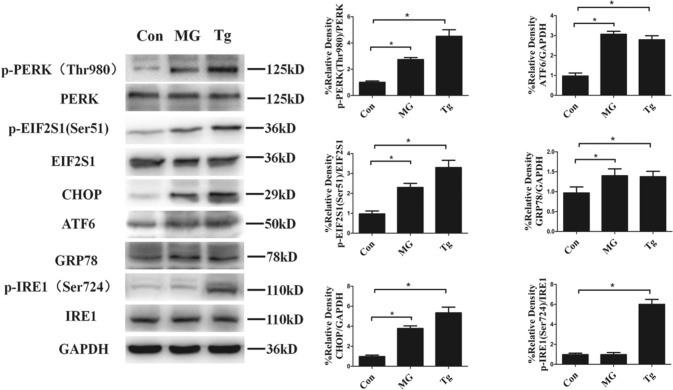 Fig. 3