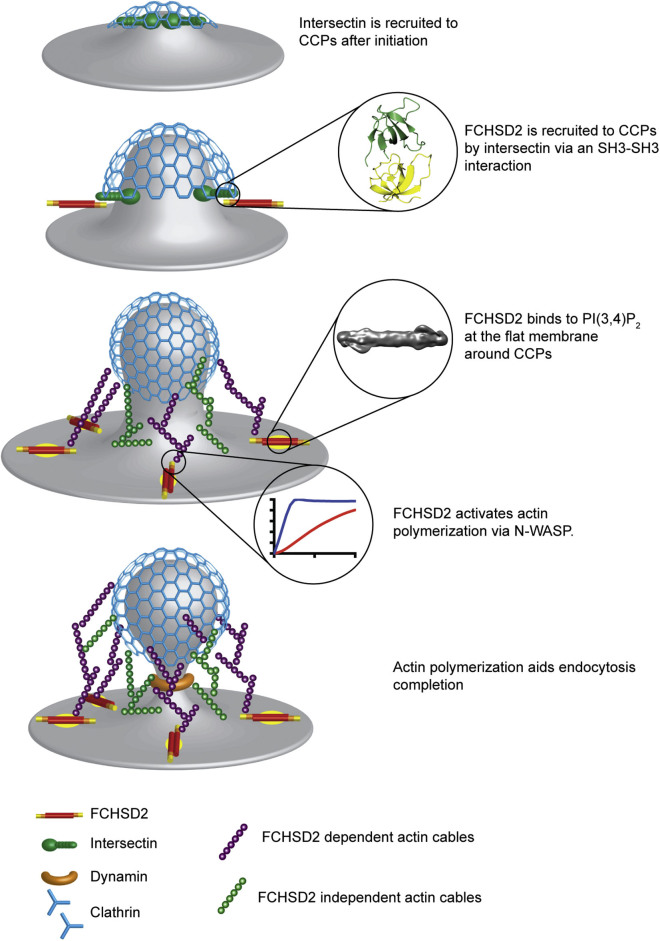 Figure 6