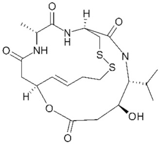 graphic file with name genes-11-00556-i021.jpg